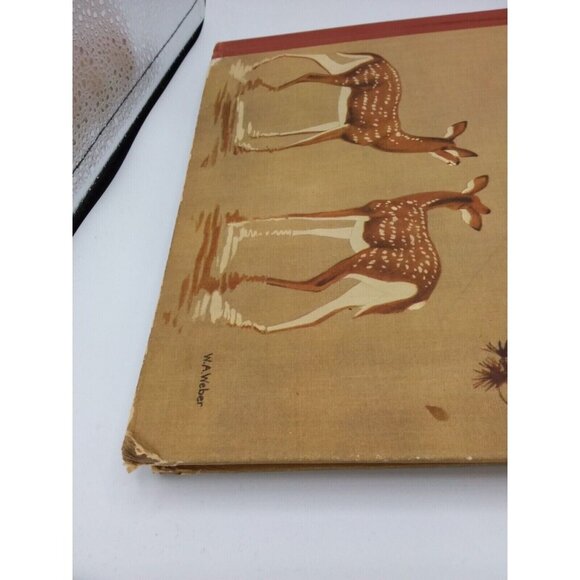 1934 Homes and Habits of Wild Animals Walter Weber Illustrations Children's Book - Picture 16 of 16